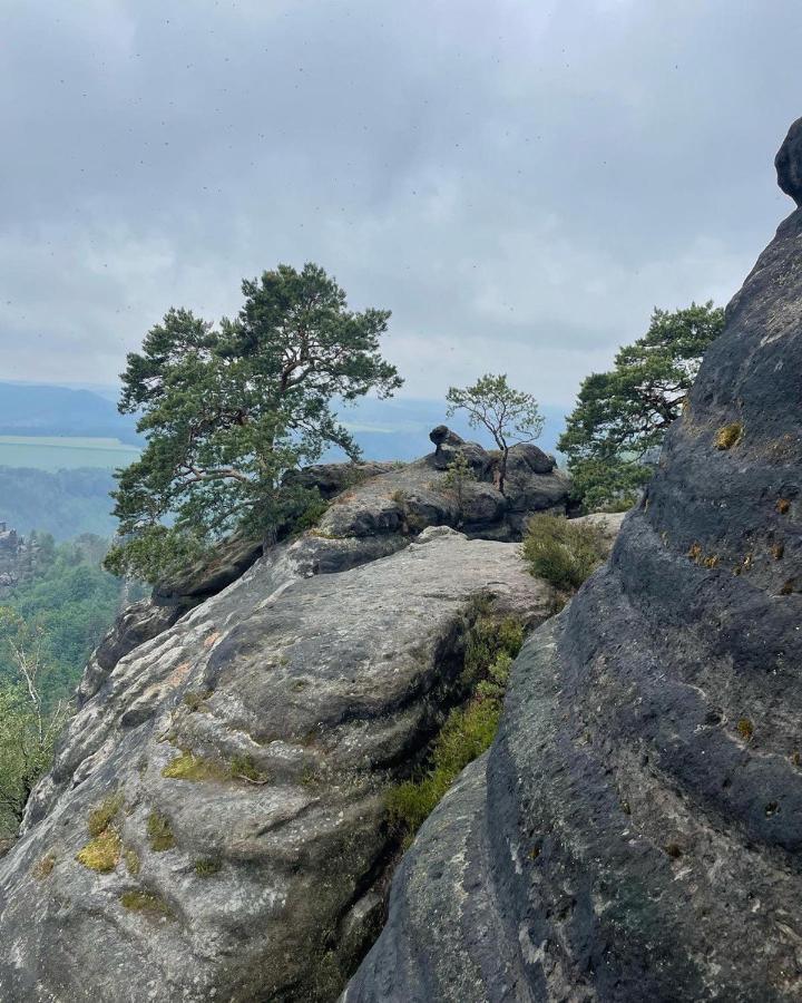 סבניץ Bergblick Apartment SäChsische Schweiz מראה חיצוני תמונה