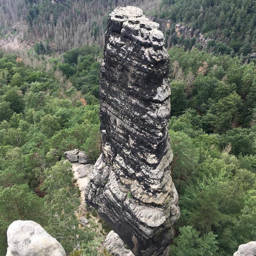 סבניץ Bergblick Apartment SäChsische Schweiz מראה חיצוני תמונה