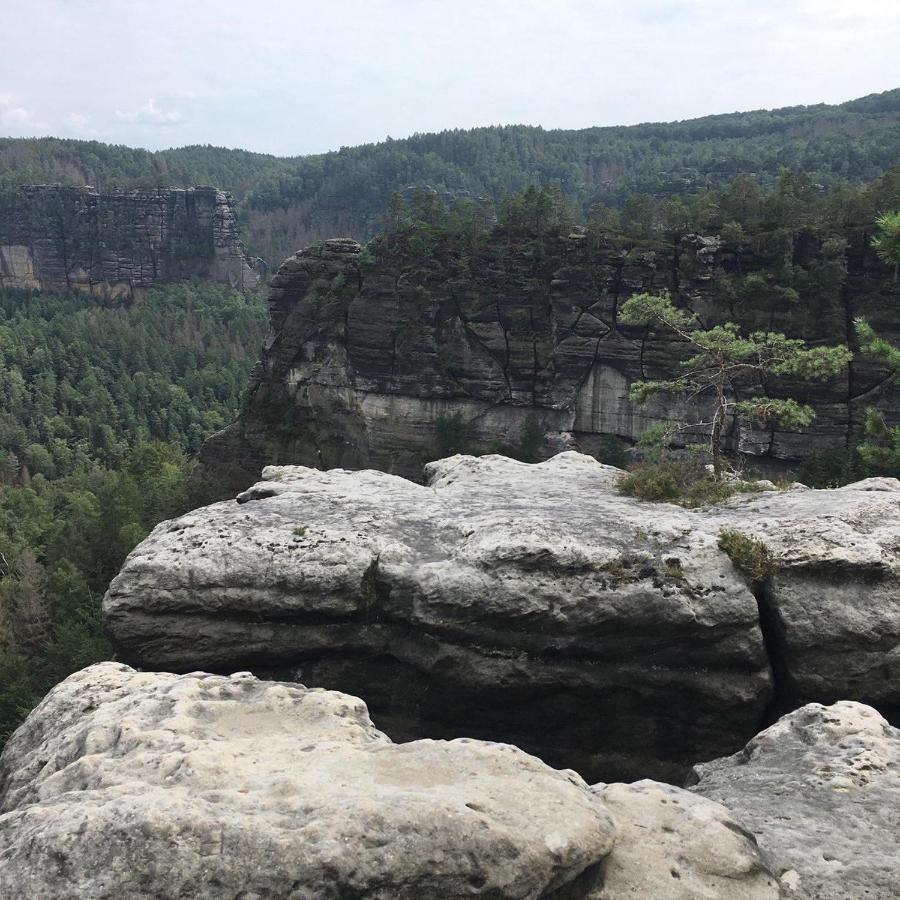 סבניץ Bergblick Apartment SäChsische Schweiz מראה חיצוני תמונה
