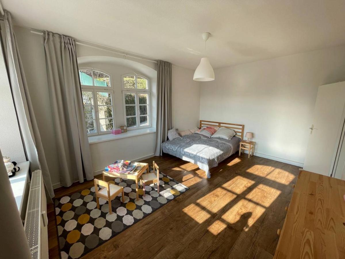 סבניץ Bergblick Apartment SäChsische Schweiz מראה חיצוני תמונה