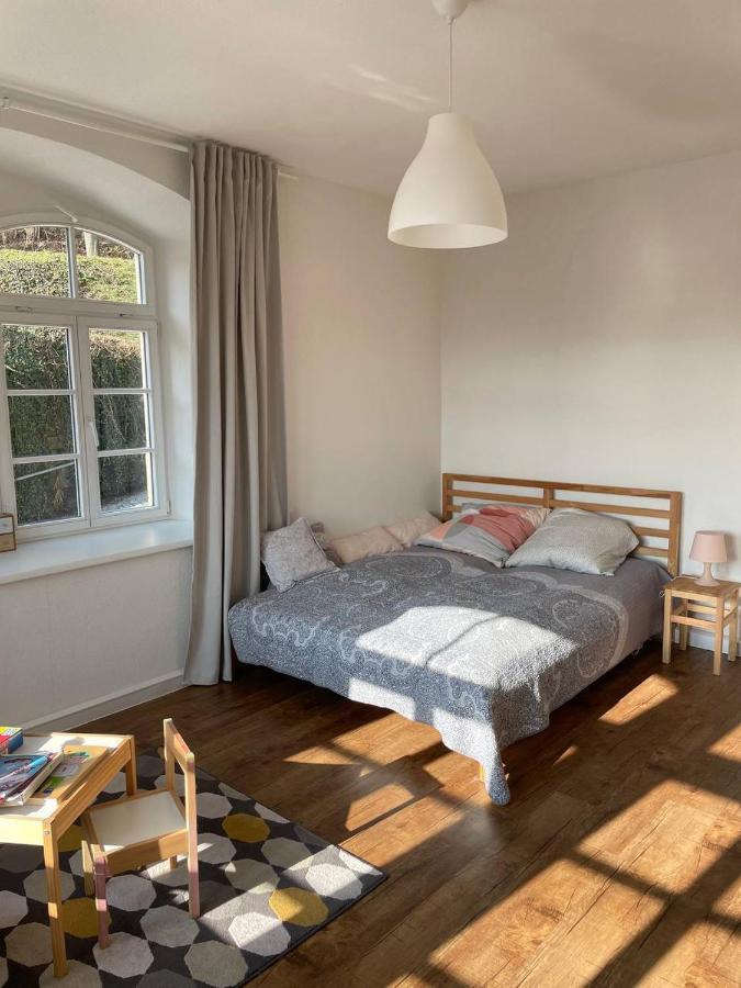 סבניץ Bergblick Apartment SäChsische Schweiz מראה חיצוני תמונה